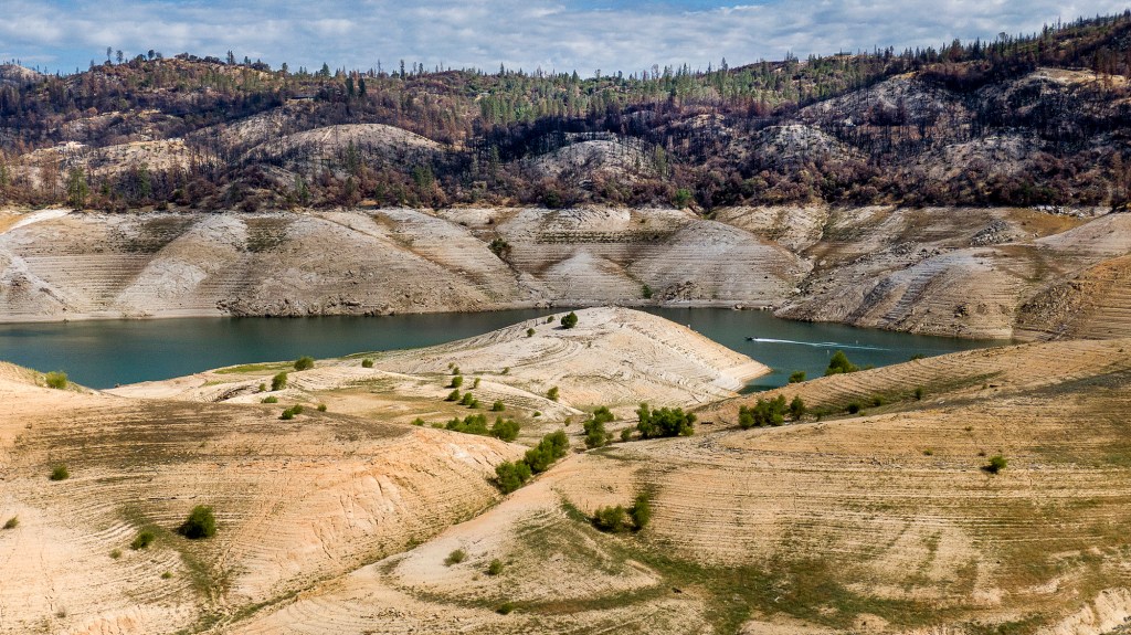 A boat crosses Lake Oroville below trees scorched in the 2020 North Complex Fire, May 23, 2021. At the time of this photo, the reservoir was at 39 percent of capacity and 46 percent of its historical average. (Photo by Noah Berger, AP Photo