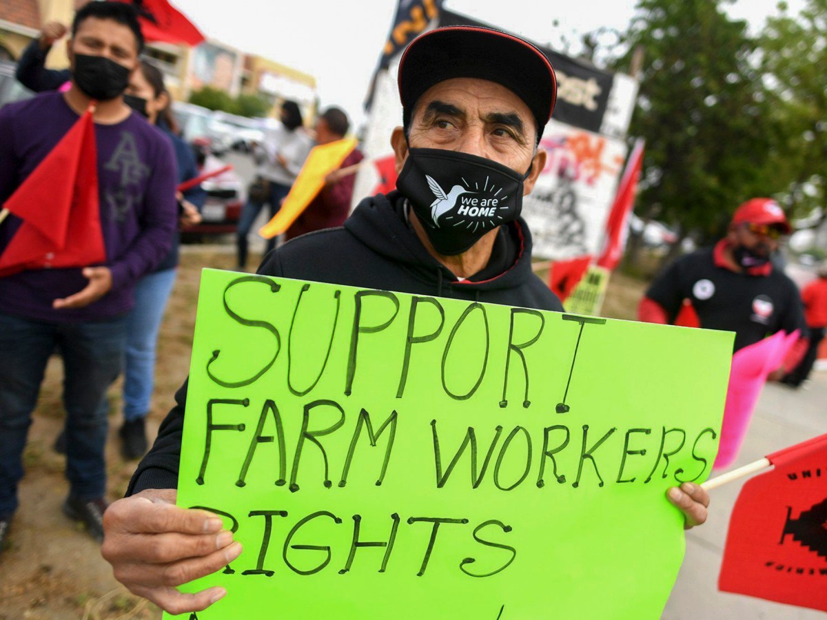 California farmworkers march to ask Newsom to sign voting bill