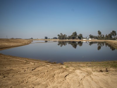 The Savory Basin outside of Fresno is designed to refill the aquifer with captured stormwater. The Fresno district spent millions to buy farmland and build basins for percolating water underground. Photo by Larry Valenzuela, CalMatters/CatchLight Local
