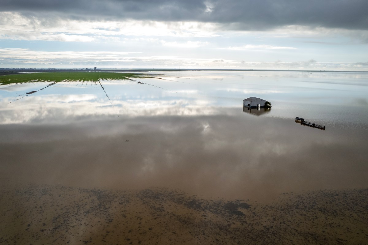 Flooded fields in Corcoran on March 23, 2023. Photo by Martin do Nascimento, CalMatters