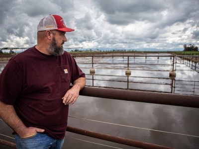 Joseph Goni, the owner of Lerda-Goni Farms, looks at his flooded heifer pen on his farm on March 23, 2023. Photo by Larry Valenzuela, CalMatters/CatchLight Local