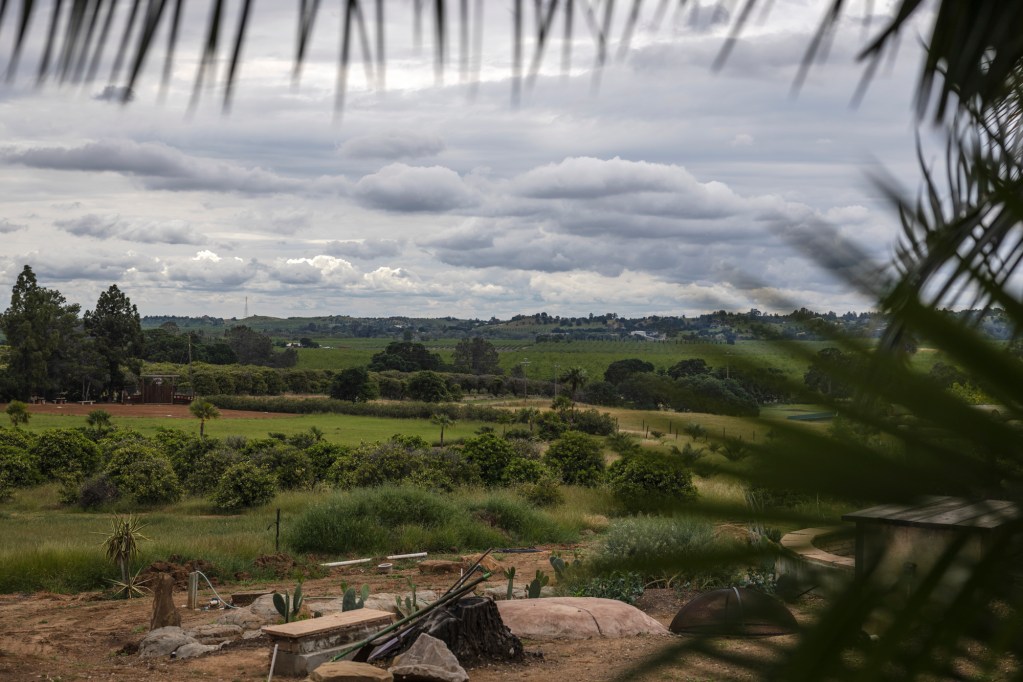Farmland in Winters on May 4, 2023. Photo by Rahul Lal, CalMatters