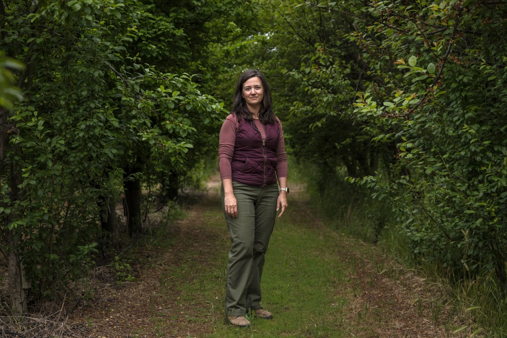 Claire Heinitz, a National Clonal Germplasm Rep with the United States Department of Agriculture, at the Wolfskill Experimental Orchards in Winters on May 4, 2023. Photo by Rahul Lal, CalMatters