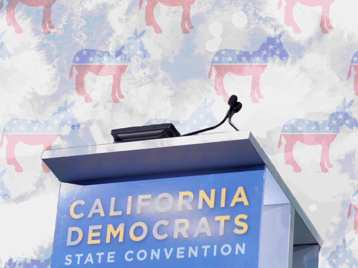 U.S. Senate hopefuls sweet-talk Democratic faithful