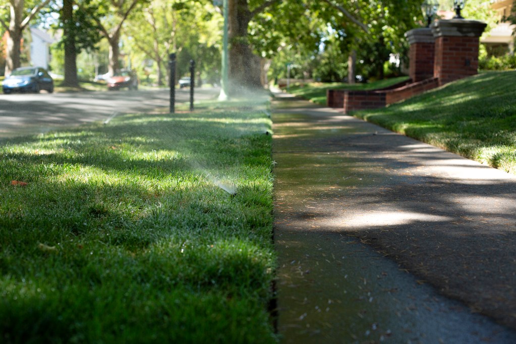 Sprinklers water a lawn in Sacramento on June 29, 2022. Photo by Miguel Gutierrez Jr., CalMatters