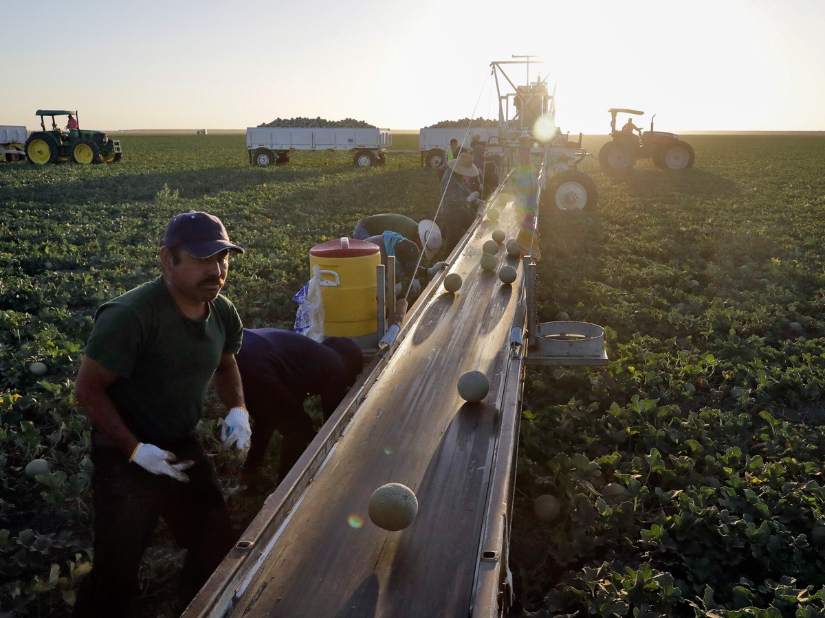 The hidden cost of California’s hot workplaces: 20,000 job injuries a year