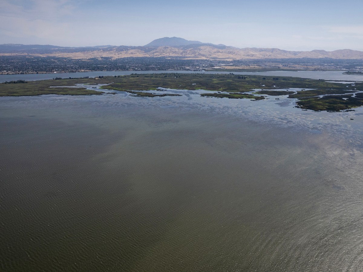 The Bay-Delta ecosystem is collapsing. California just unveiled rival rescue plans