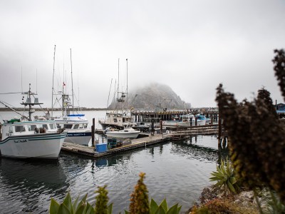 The sea port of the city of Morro Bay on July 18, 2023. Morro Bay would have increase the size of its sea port when the state lease planned offshore wind farm is constructed. Photo by Larry Valenzuela, CalMatters/CatchLight Local