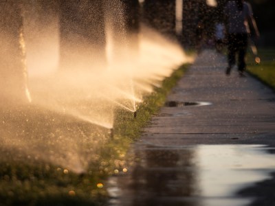 Sprinklers water a patch of grass near a sidewalk in Fresno on July 16, 2024. Photo by Larry Valenzuela, CalMatters/CatchLight Local