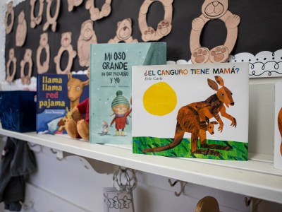 A row of children's books in Spanish and English lined up on a shelf on the classroom wall.