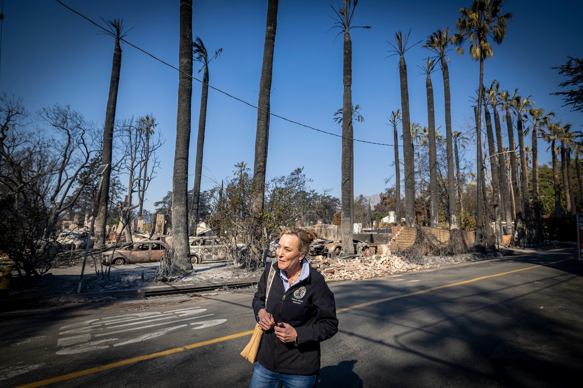 A woman walks down a street destroyed by a wildfire that burned down many homes in the area. A row of burned palm trees is in the background over a row of debris from burned-down homes and burned-out cars.
