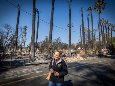 A woman walks down a street destroyed by a wildfire that burned down many homes in the area. A row of burned palm trees is in the background over a row of debris from burned-down homes and burned-out cars.