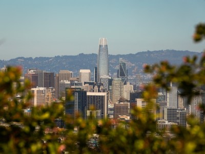A city skyline is visible in the background, while green foliage is visible in the foreground. The view is of downtown San Francisco.