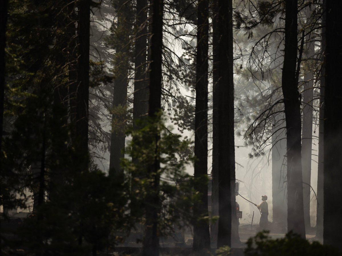 Why bills to help prevent California fires fail