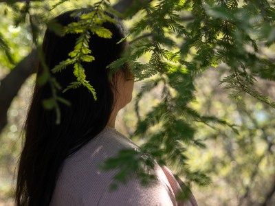 A person with long dark hair stands among trees, partially obscured by green branches and soft sunlight filtering through the foliage. The individual faces away from the camera, wearing a light-colored textured top, blending into the tranquil forest setting.