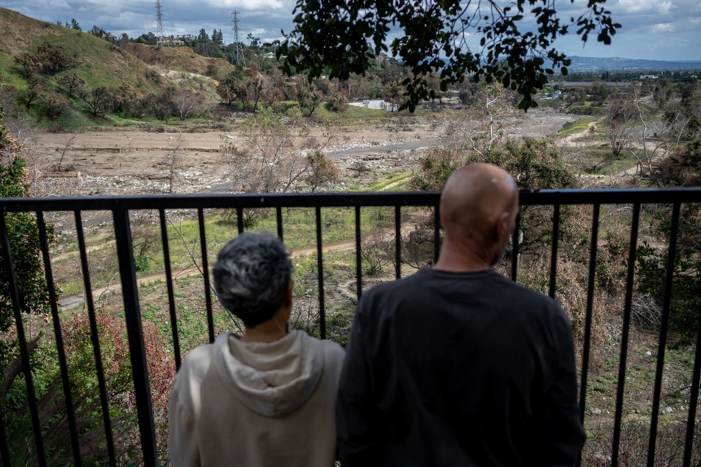The backs of two people as they stand next to each other near a black metal metal overlooking an open area damaged by a wildfire.